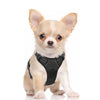 StopPull Adjustable Soft Pet Harness