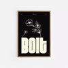 Bolt