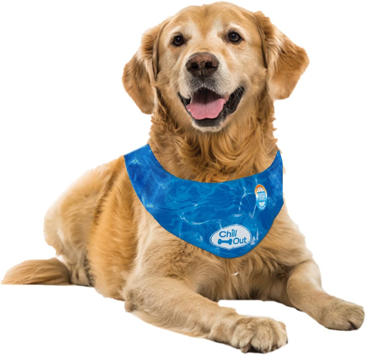 ChillPup® | Chillout Dog Cooling Bandana