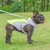 ChillGuard Dog Cooling Vest