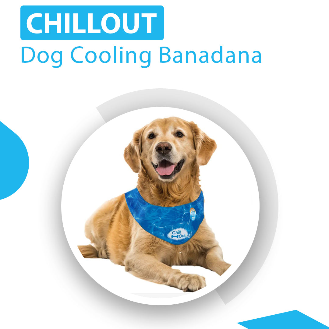 ChillPup® | Chillout Dog Cooling Bandana