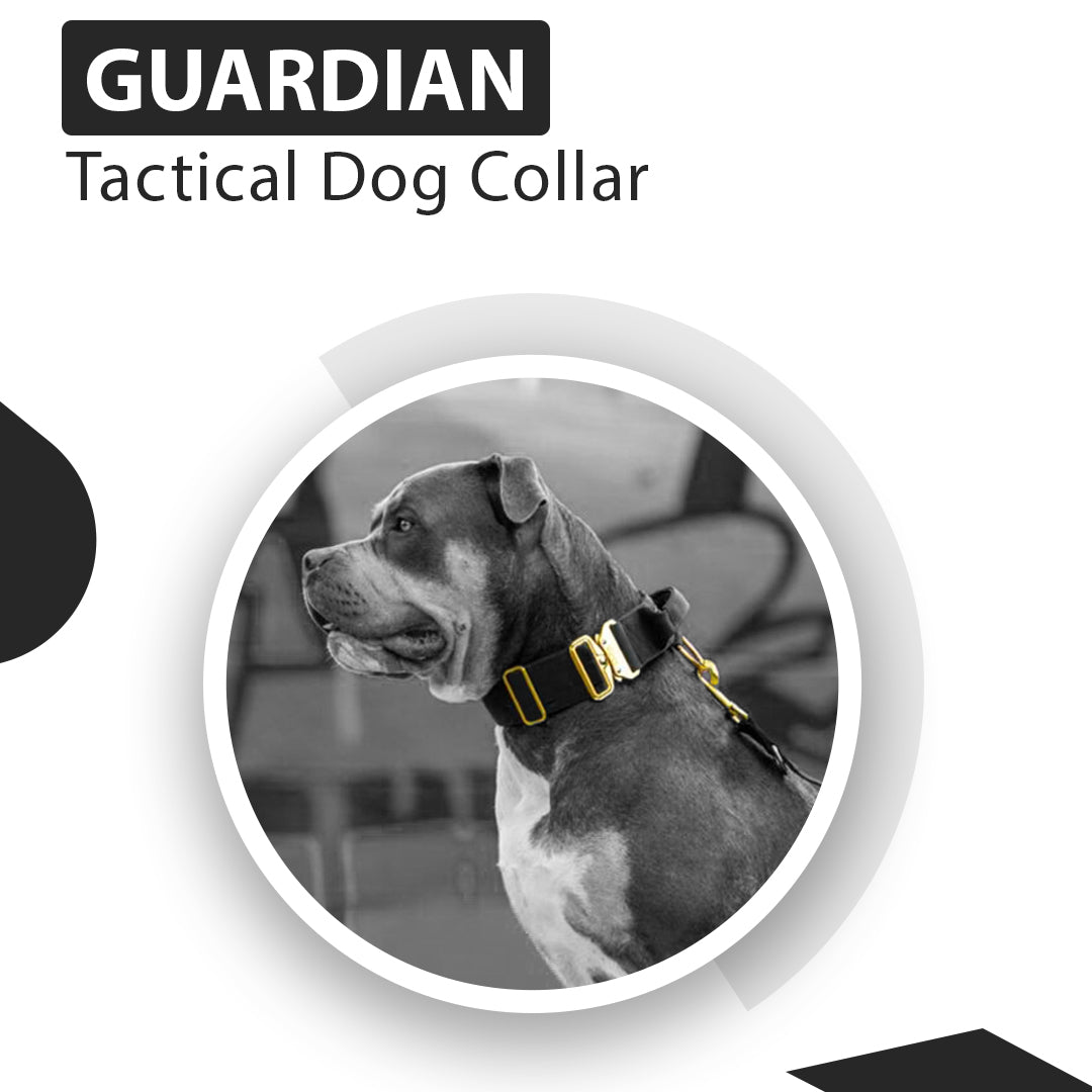 Guardian Tactical Dog Collar