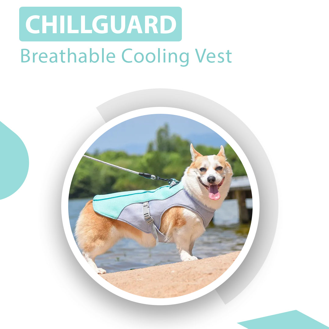 ChillGuard Dog Cooling Vest