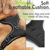 StopPull Adjustable Soft Pet Harness