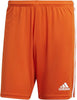 Adidas Stripe Chelsea Shorts Sports