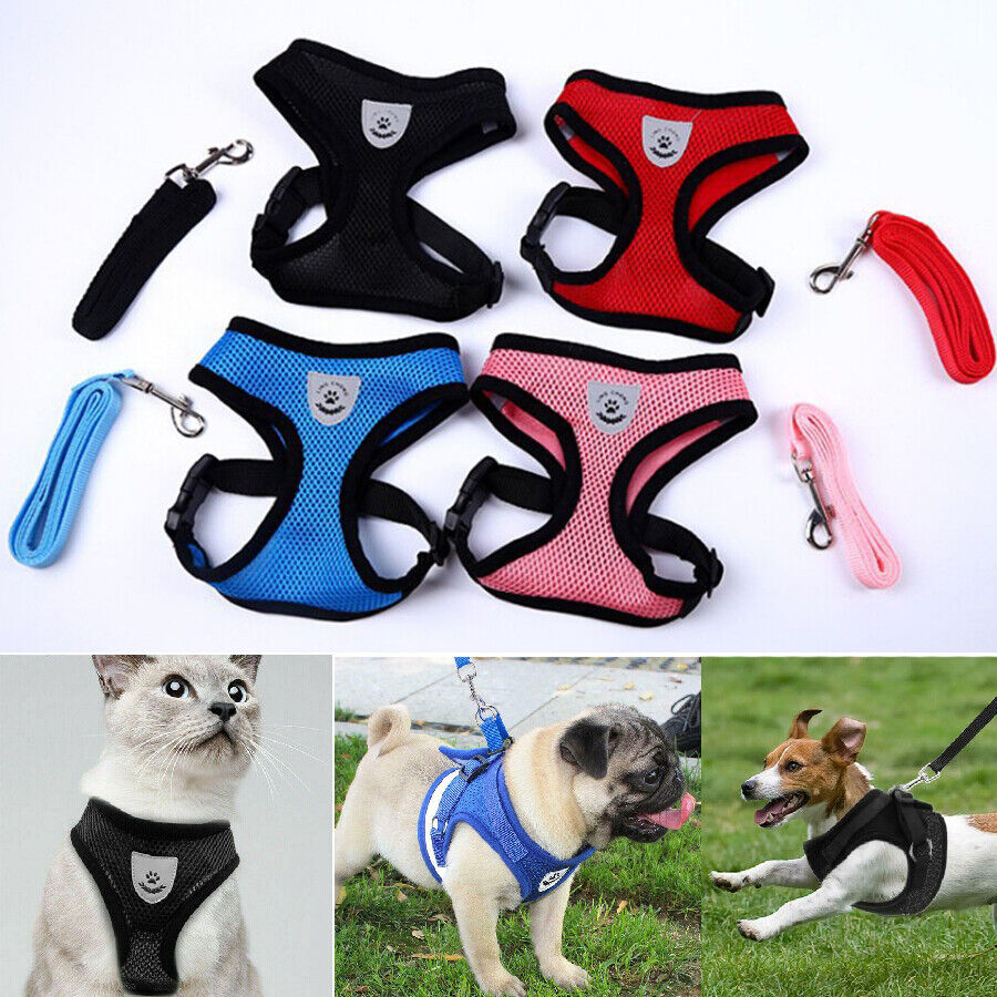 Pet Breathable Soft Mesh Vest