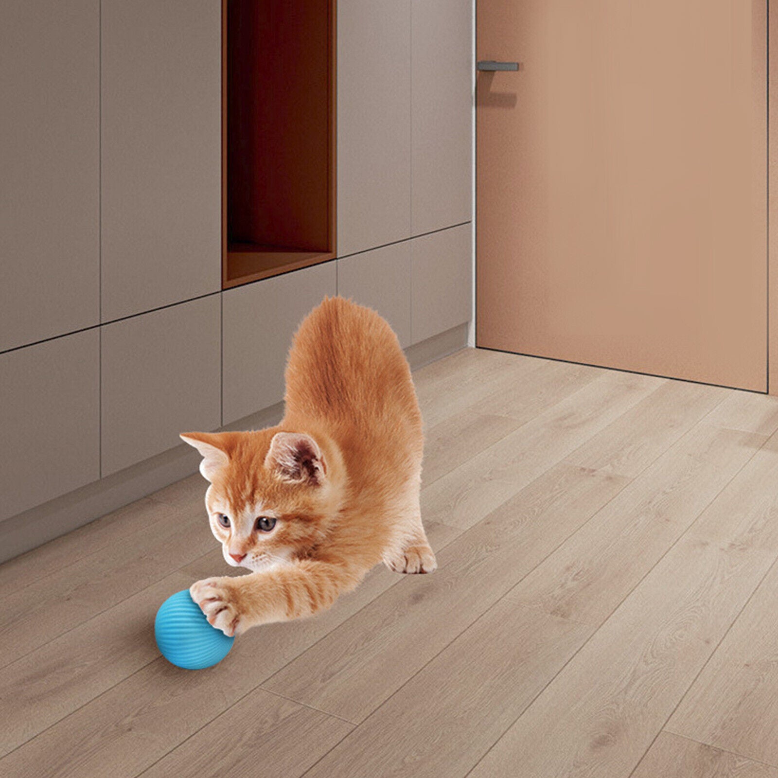 Pet Smart Rolling Balls Automatic Toy