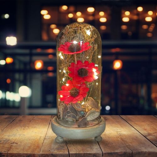 Preserved LED Light Flowers