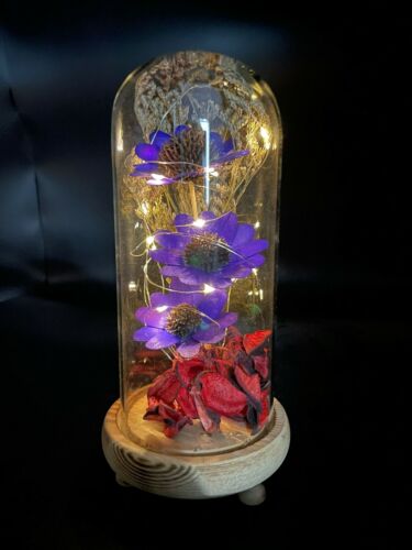 Preserved LED Light Flowers