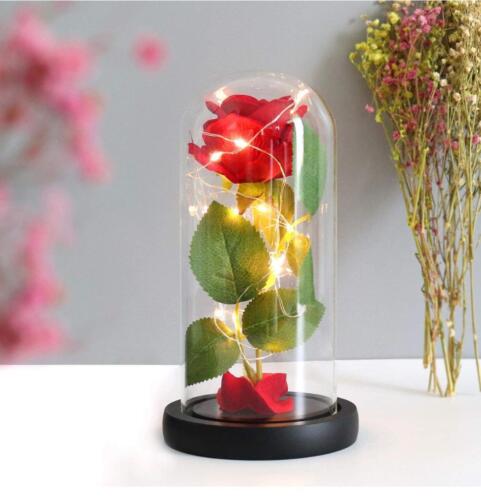 Preserved LED Light Flowers